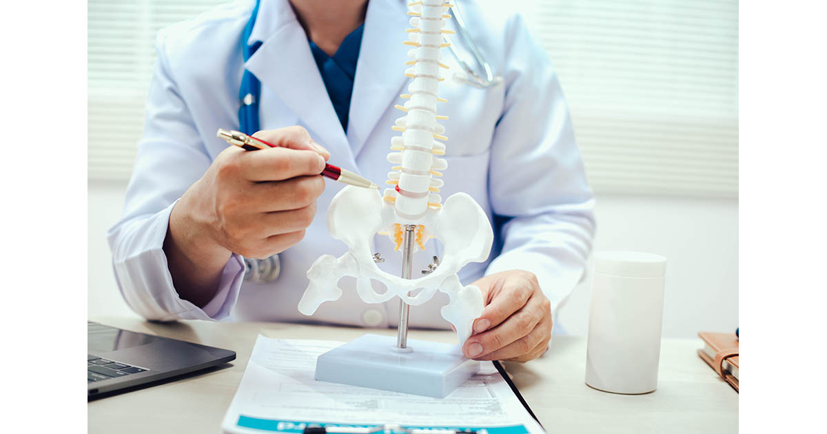 Doctor in white coat pointing pen at lumbar spine anatomy model on desk during medical consultation