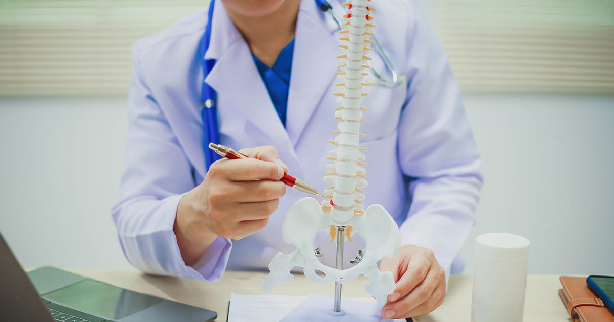 Doctor pointing to the facet joint region on a full-spine anatomy model during a patient consultation