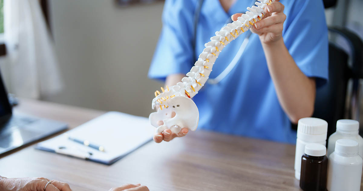 Clinician in blue scrubs holding a full spinal anatomy model across a consultation desk, showing vertebrae and intervertebral discs to a patient during a herniated disc evaluation