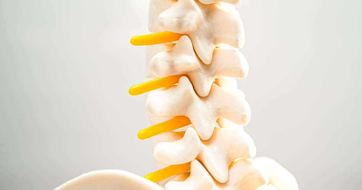 Doctor examining a patient's back in a clinical examination room to evaluate whether nerve symptoms originate from a compressed disc or peripheral nerve damage