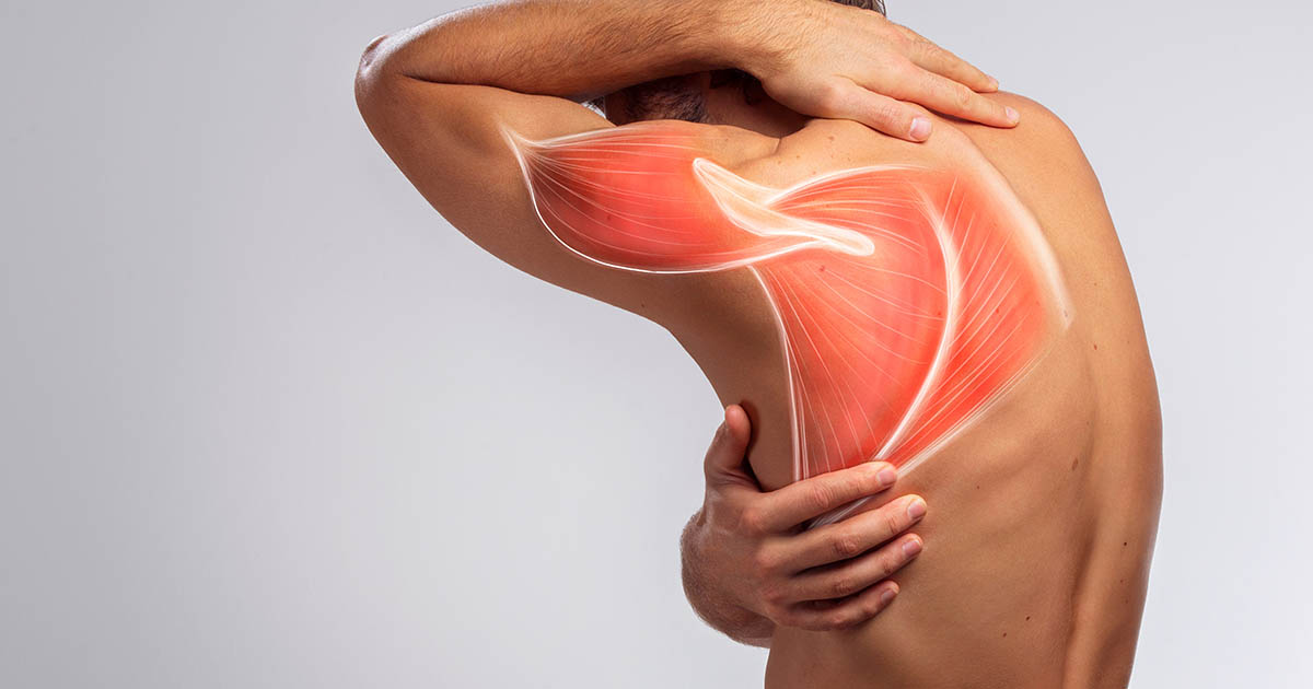 Man's upper back and scapula area showing shoulder blade pain and muscle tension
