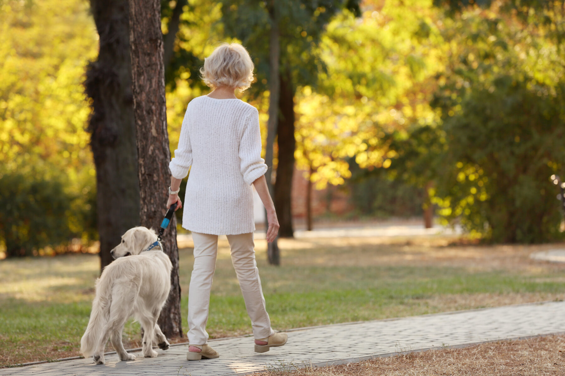 Woman walking briskly on a park path in early morning light, a common and evidence-backed approach to managing chronic low back pain