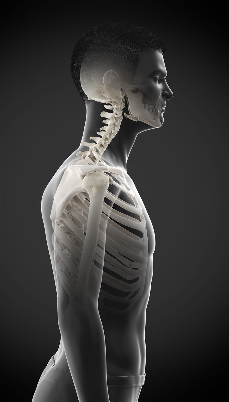 3D medical render of aligned neutral posture with the head stacked over the shoulders